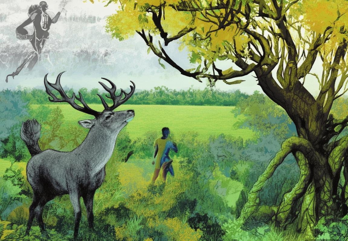 字母哥续约现转机？雄鹿凯尔特人开拓者三方交易设想：杰伦·布朗加盟雄鹿，利拉德赴凯尔特人，开拓者获重建选秀权